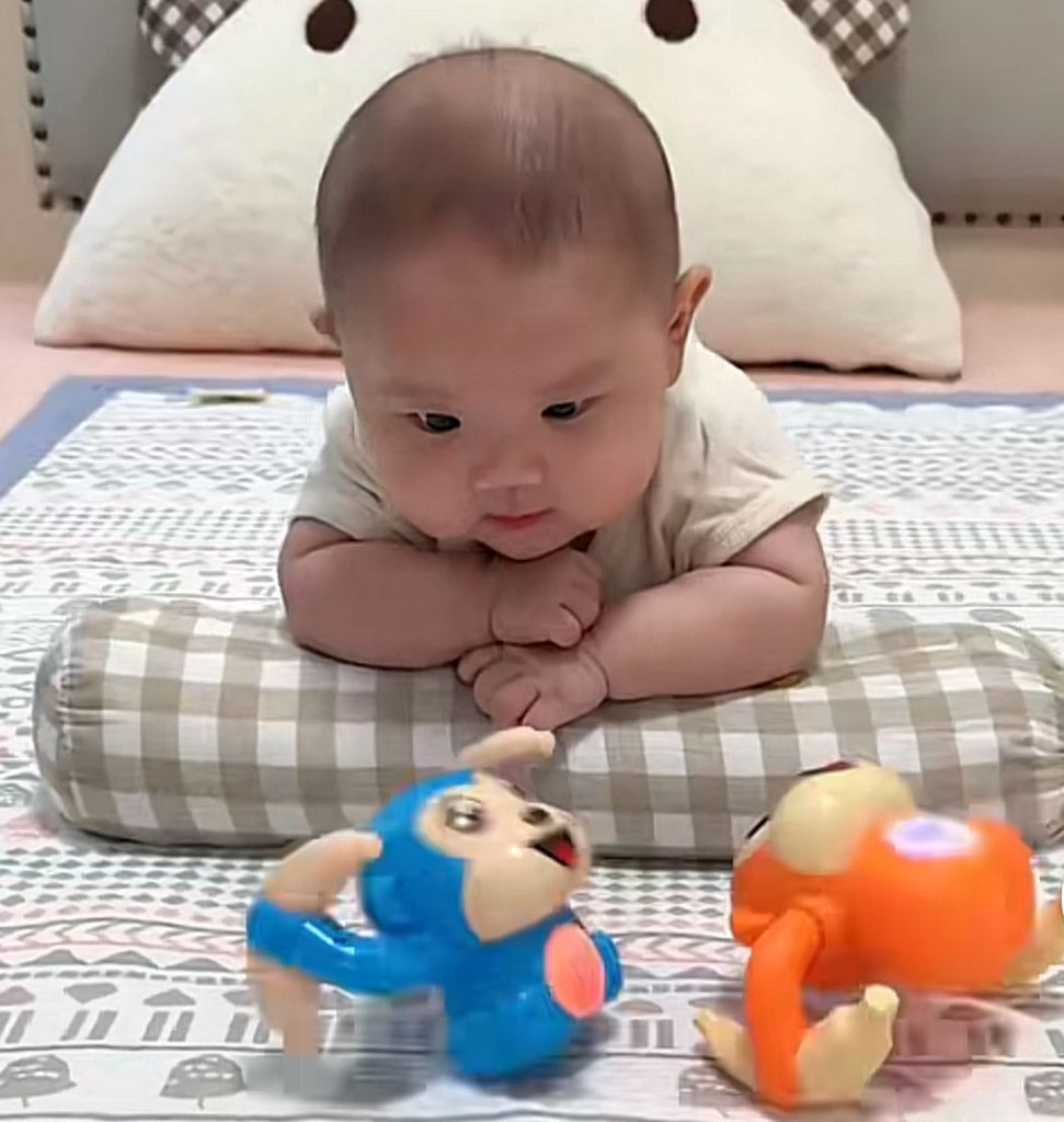 Rolling Banana Monkey Toy